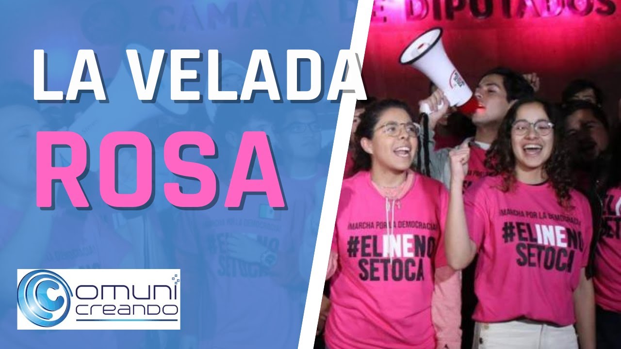 VELADA ROSA: JÓVENES EN DEFENSA DEL INE