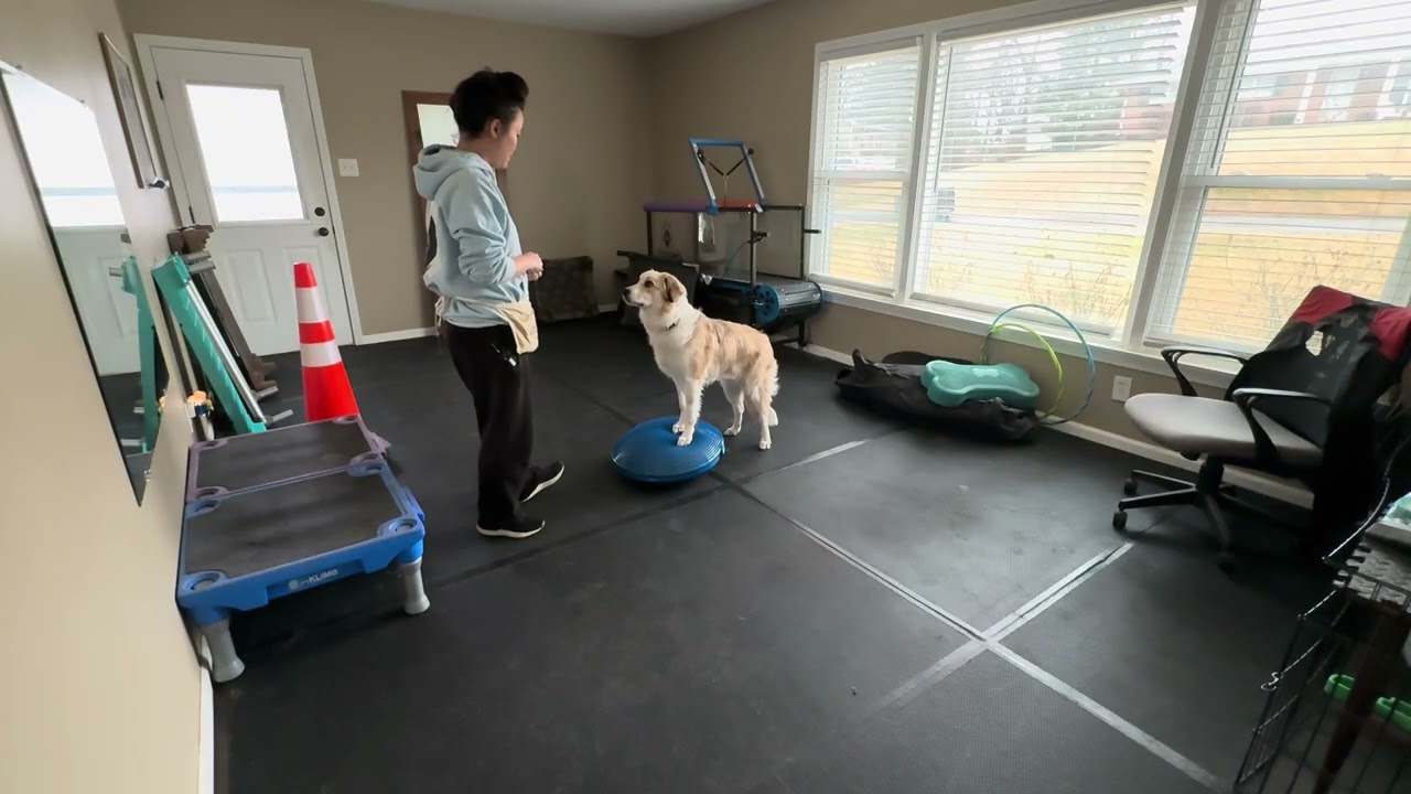 Margo 1/8/26 Part 2