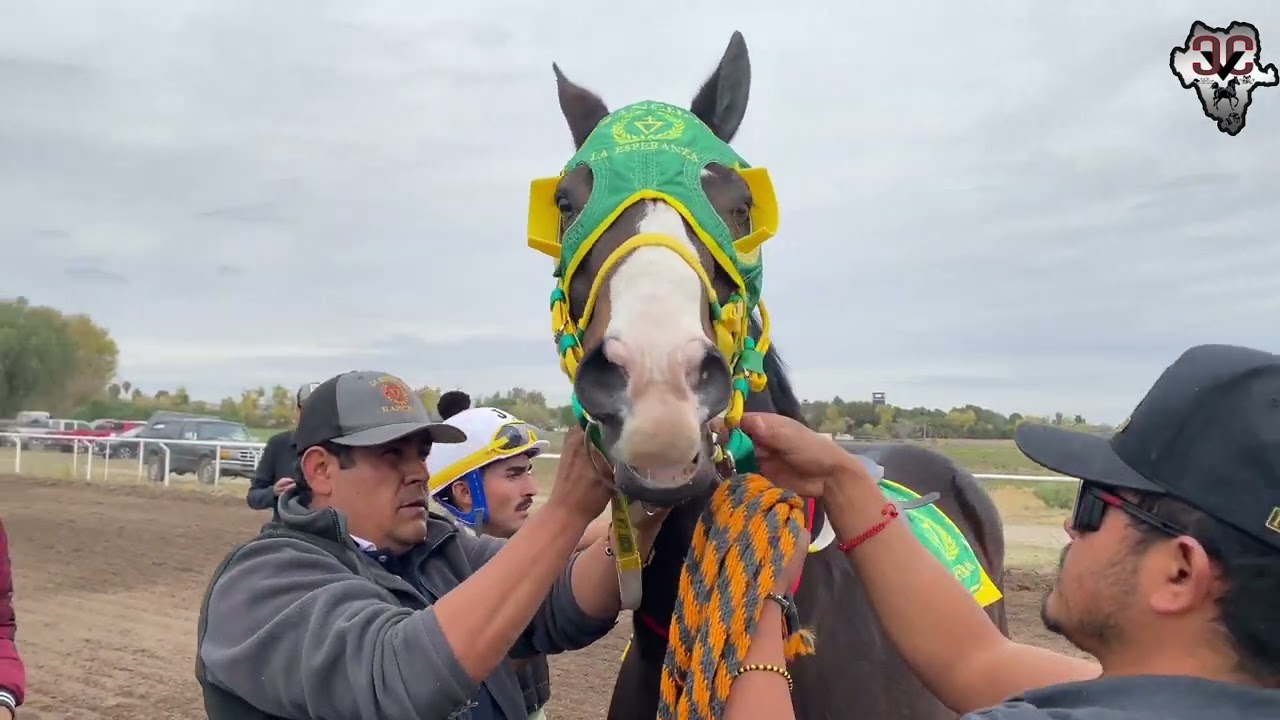 Duelo De Titanes | El Conos Vs El Peregrino, Tapias Race Track Durango Mex.