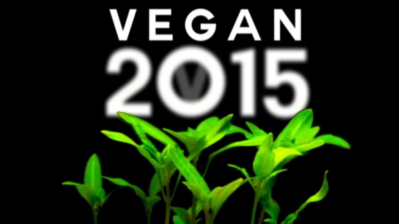 VEGAN 2015 - The Film