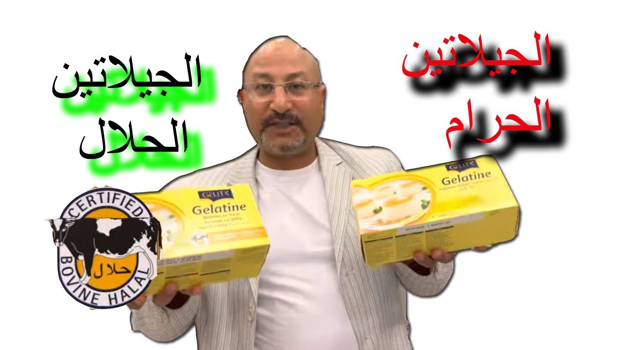 الجيلاتين الورق والبودر والجيلاتين الحلال والخنزير