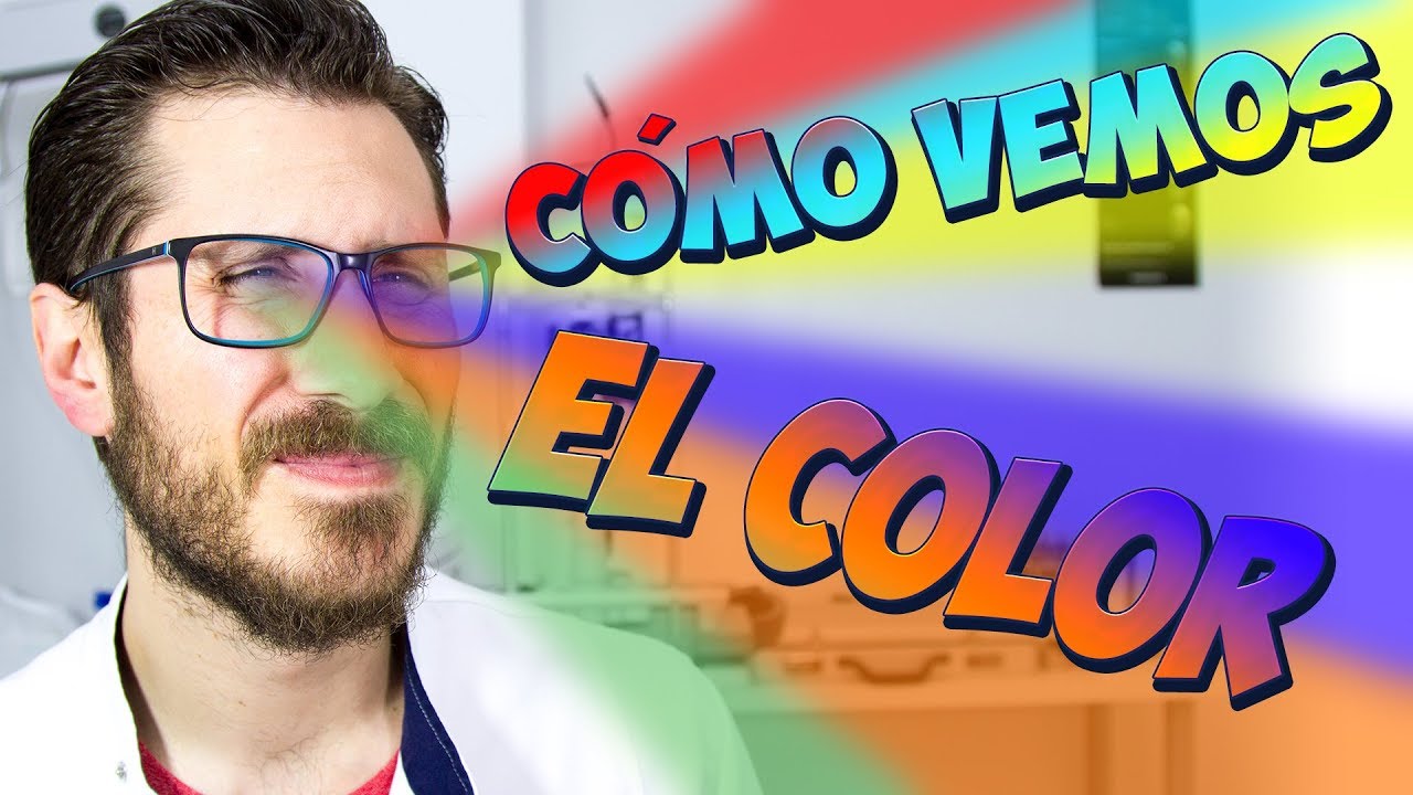 🧠 ¿Por qué vemos COLORES? ¿Qué son los colores y cómo los procesa nuestro cerebro?