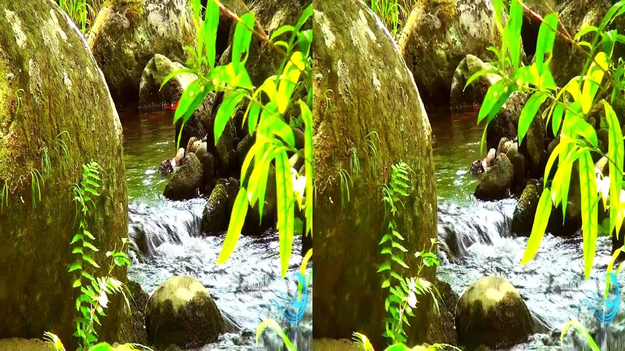 Hawaii's Nature In 3D (Yt3d) 3D Nature