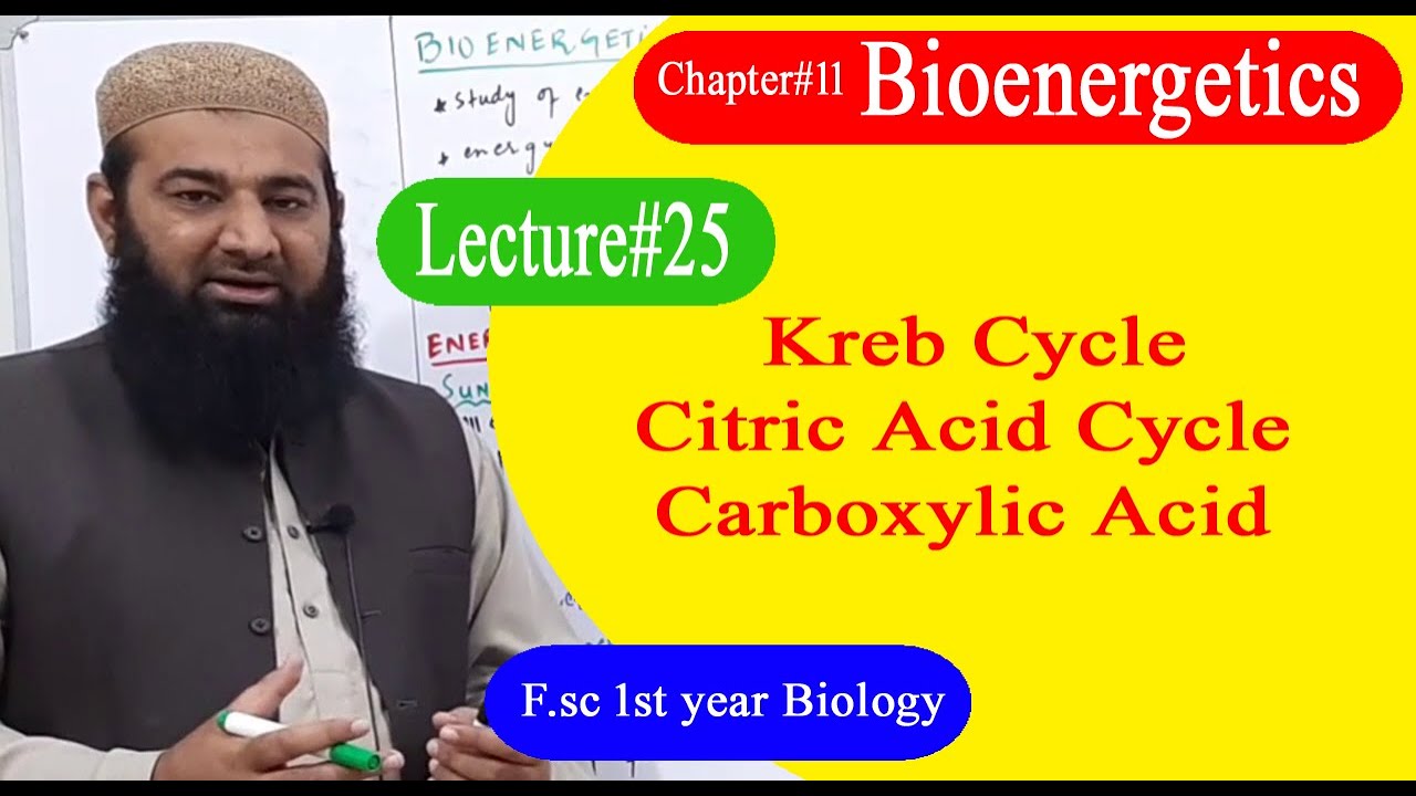 Biology Ch#11-Lecture#25 Kreb cycle,citric cycle, tricarboxylic acid  (F.Sc 1st Year)