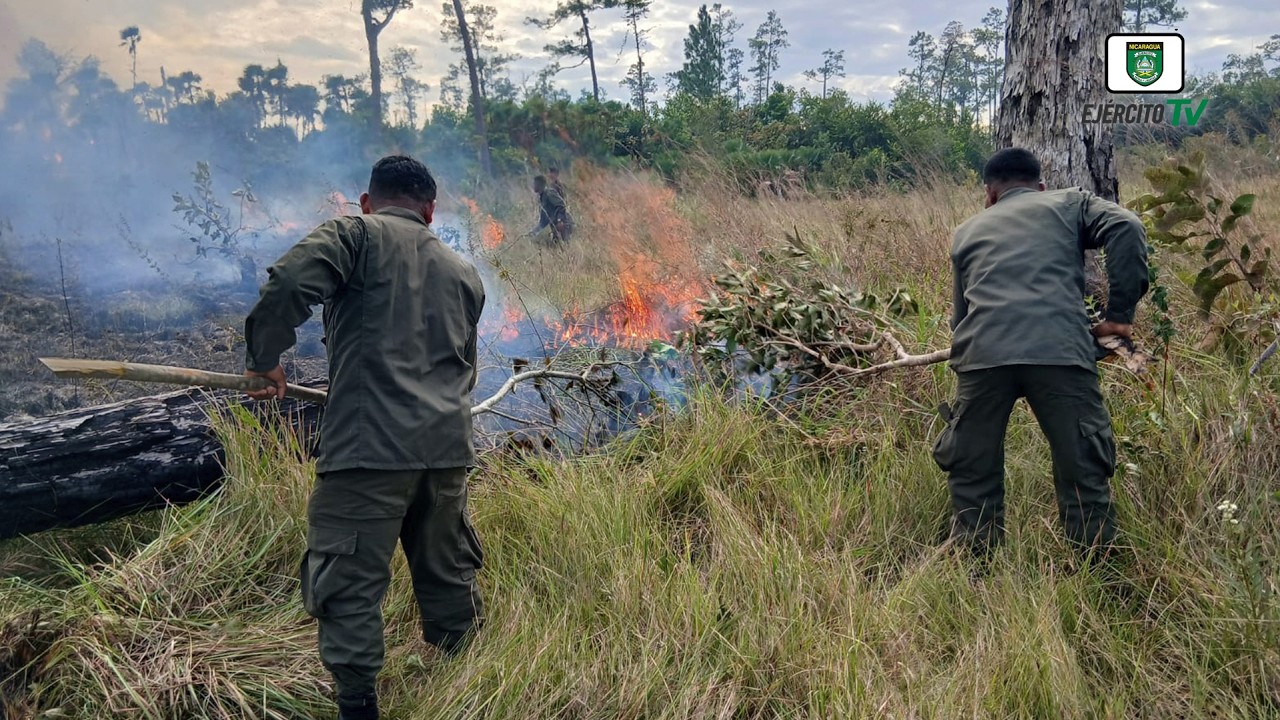 Ejército de Nicaragua sofocó incendios en un área de 42 manzanas en el Caribe norte