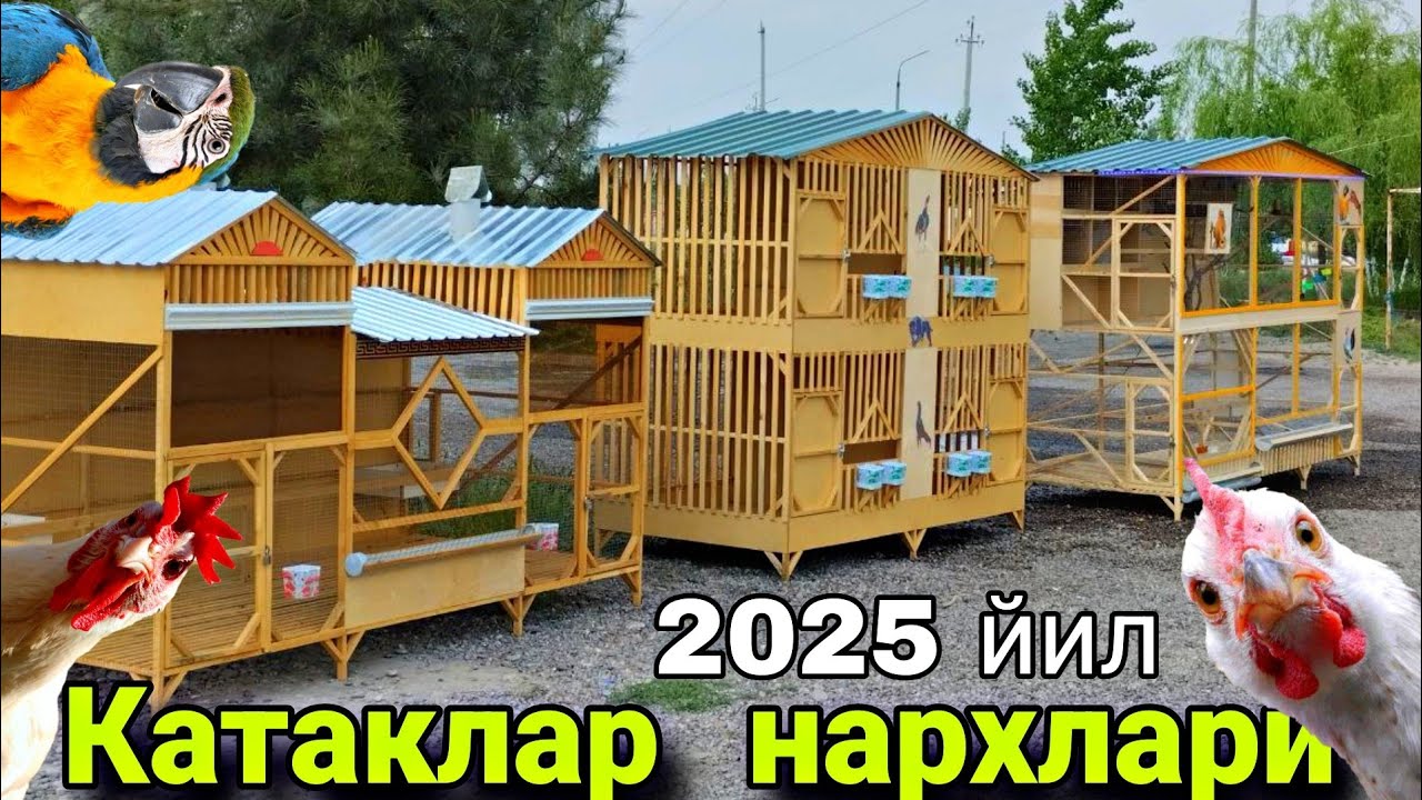 Катаклар  ясаб  берамиз. #катаклар #Kataklar