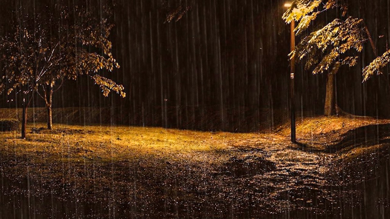 Tinnitus Masking & Sunday Anxiety Relief Rain | Deep Sleep Park Ambience