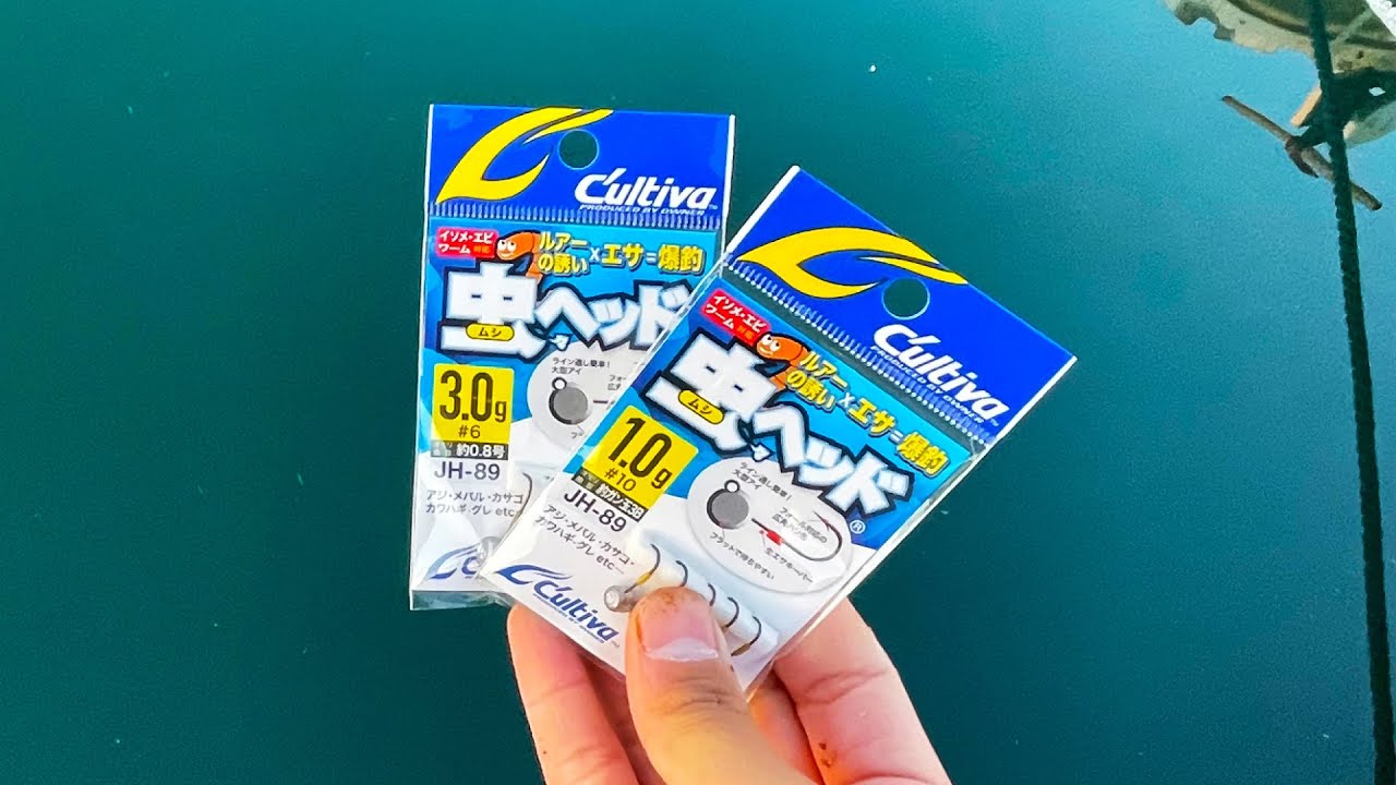 【ジグヘッド＋イソメ】虫ヘッドで何が釣れるのか？漁港＆河川で検証してみた！