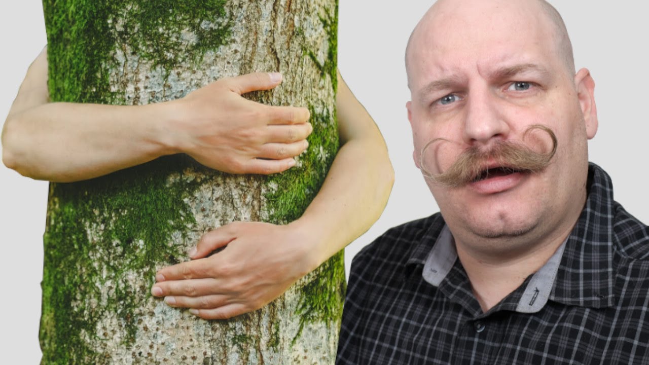 Im No tree Hugger but here is what Leaf is doing right