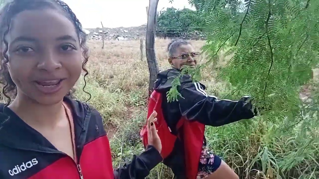 Graças a Deus chou véu nois vamos pra casa de mãe 🏕