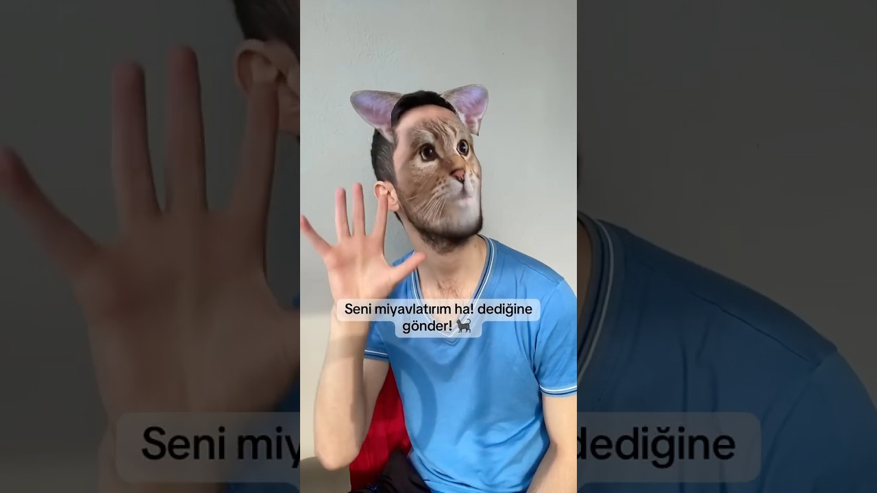 Onlar arkadan hav hav hav miyav miyav miyav kedi videoları cat videos lvbel c5  *reklam