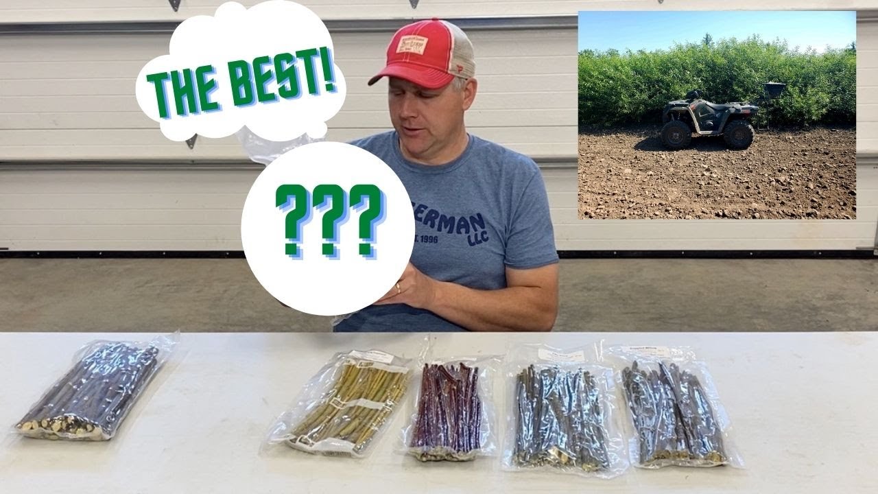 Which Cuttings Are BEST for You?