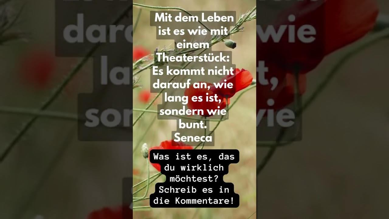 Seneca Zitat 