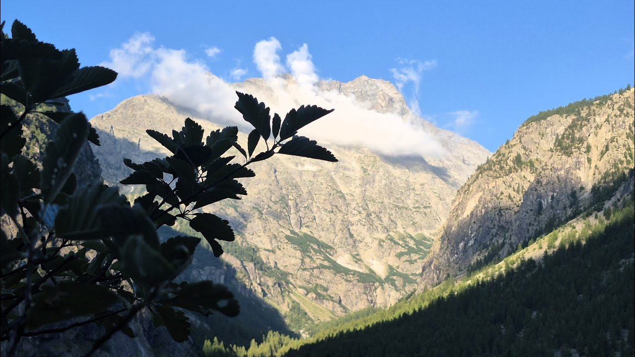 2025 . July. France.Park Ecrins .Serre Chevalier. Vallouise -  Pelvoux