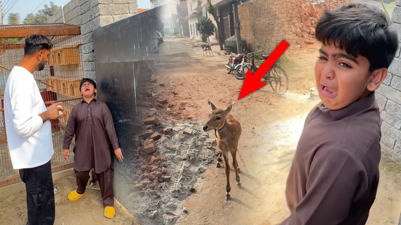 Ye Kia Hogea Shayan Se Bht Ziada Dr Gea😰