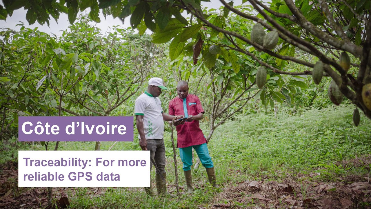Côte d’Ivoire: Traceability: For more reliable GPS data