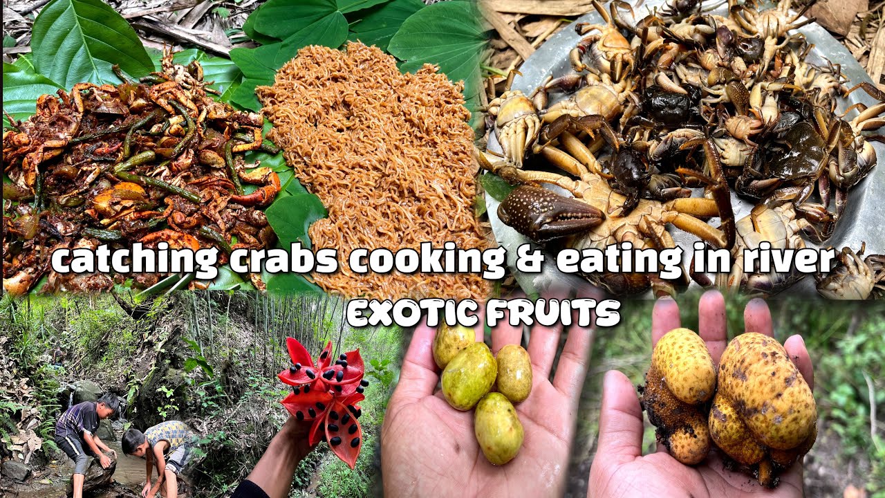 Hunting crabs 🦀 cooking and eating in river … searching for some exotic fruits 🍈