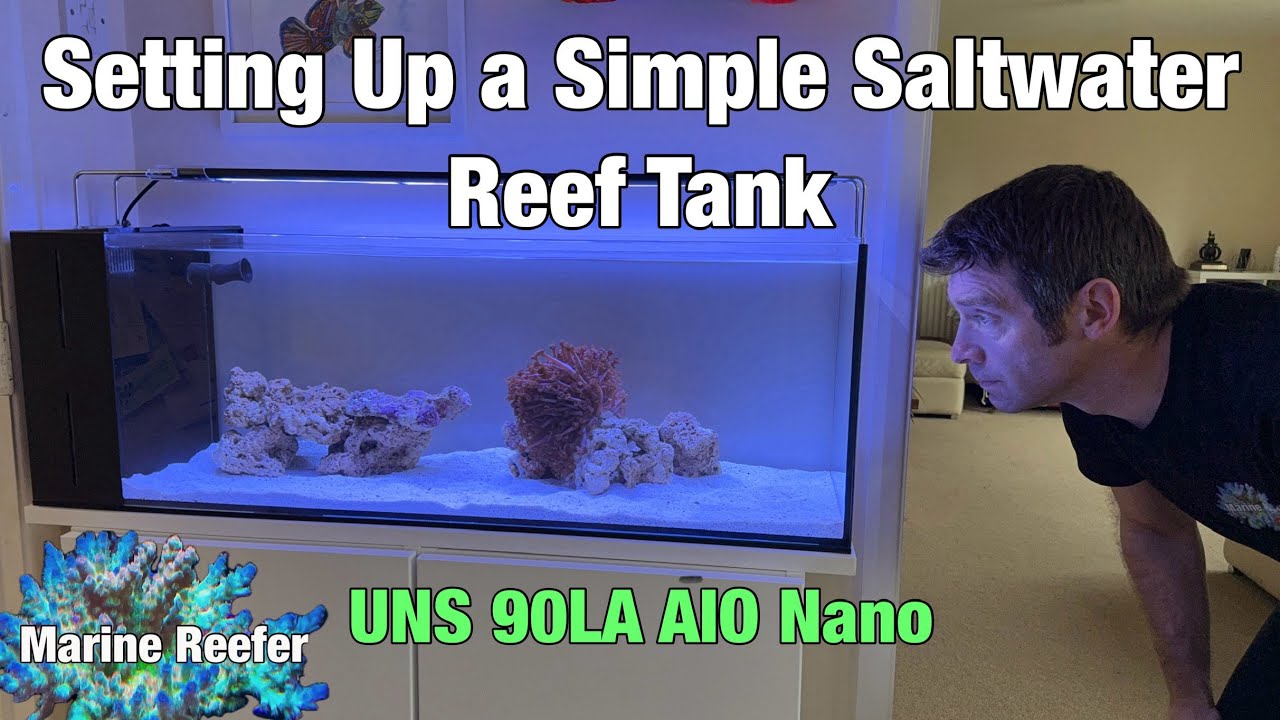 How to Set up a Simple Saltwater Reef Tank for Beginners and Experienced Reefers UNS 90LA AIO Nano