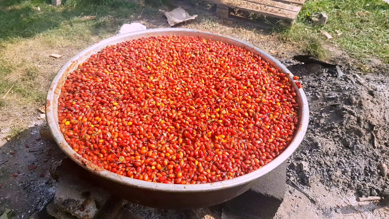 Erzincan  da kışa hazırlık..