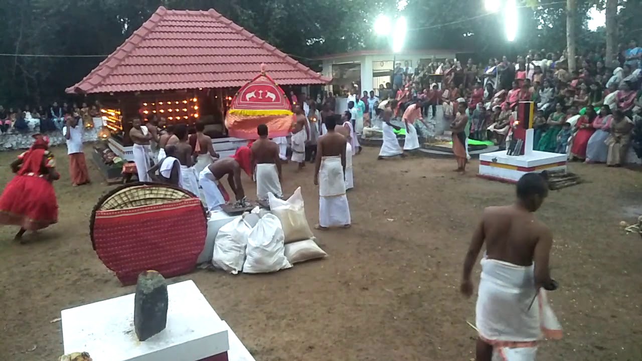 Parapool kaavu elamkolam theyyam