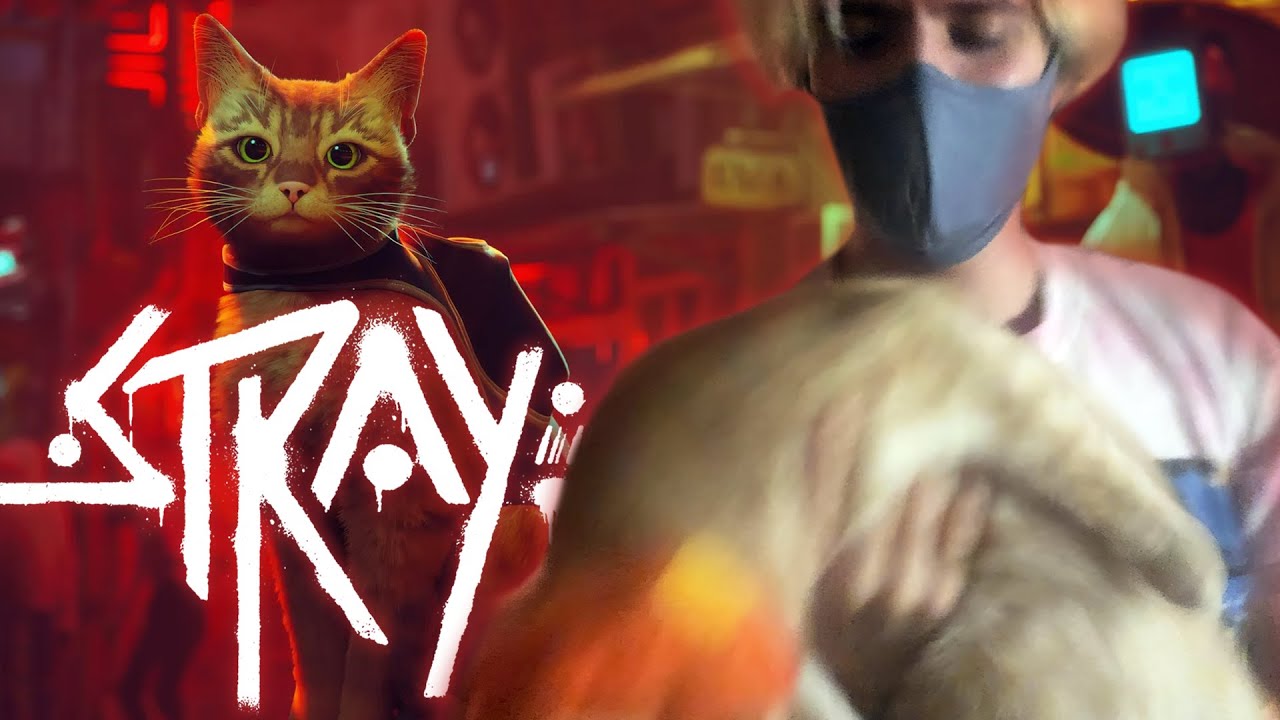 Stray - Part 3 | Computer Time With Miles