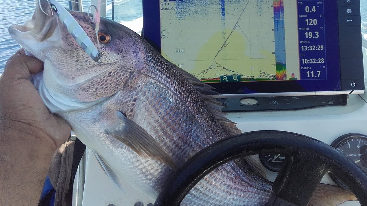 slow !!! game type slow jigging !!!