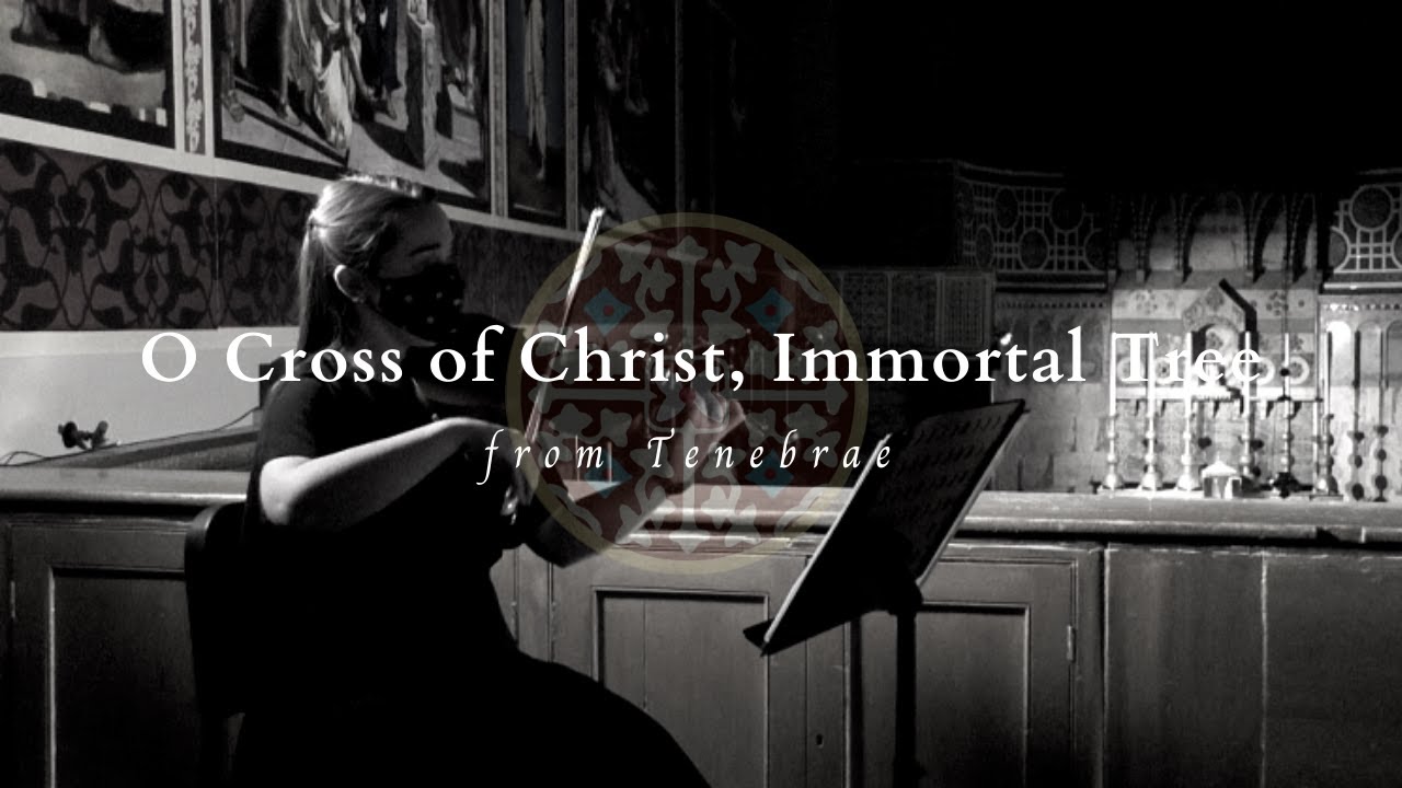 O Cross of Christ, Immortal Tree - Newman Vocare Ensemble -Tenebrae 2021