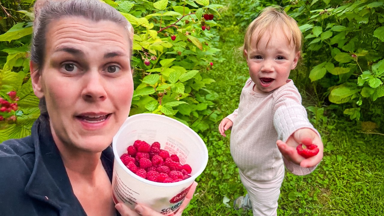 BIGGEST Raspberry Harvest Ever! Picking & Preserving ALL the Berries