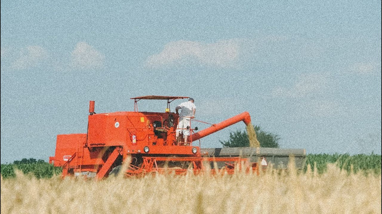 Rozpoczęcie żniw 2023||Jęczmień Ozimy|| Bizon Z056, John Deere 6810, Zetor 7211