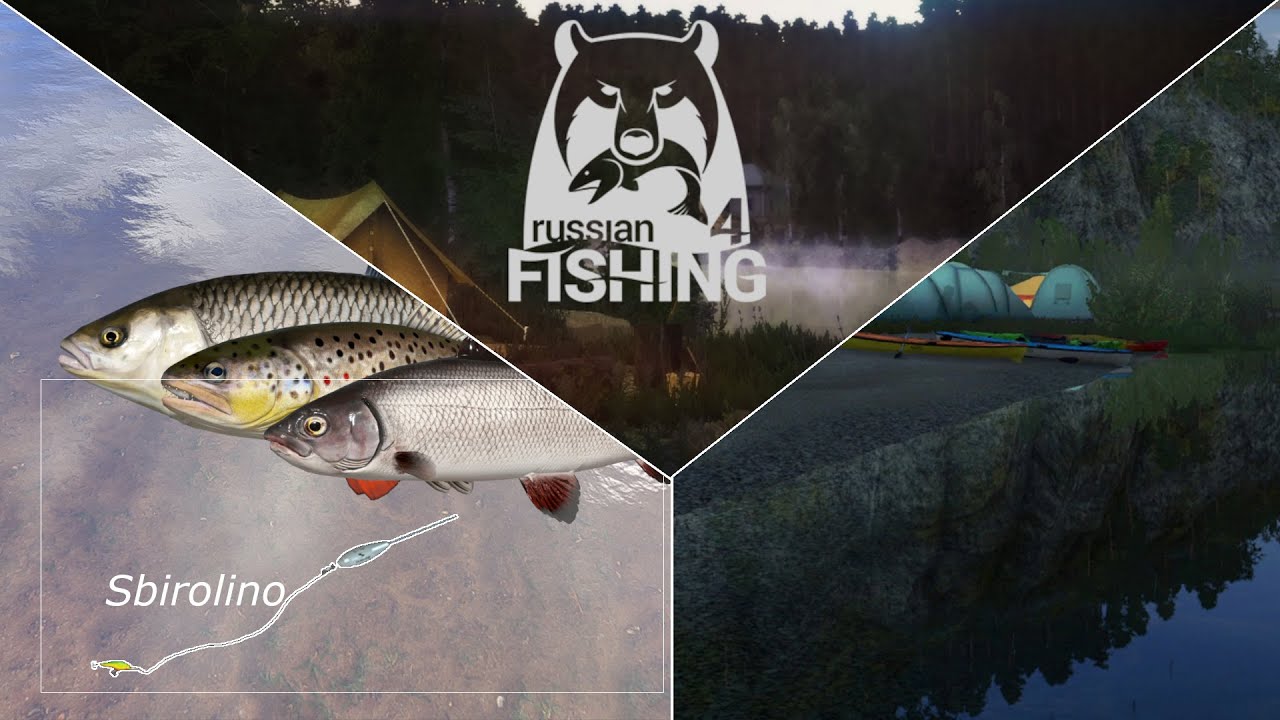 Sbirolino testen auf Äschen und Forellen - Ehrenfischer Belaja | Russian Fishing 4