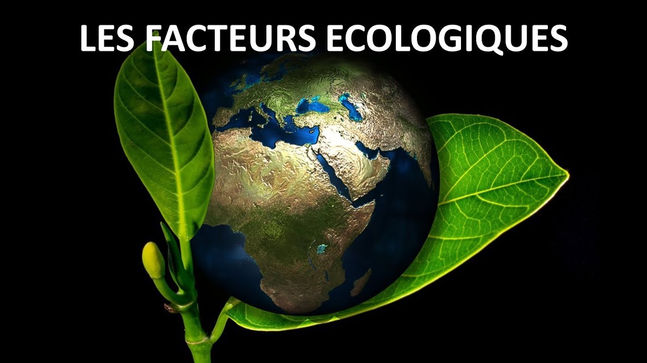 Les facteurs écologiques