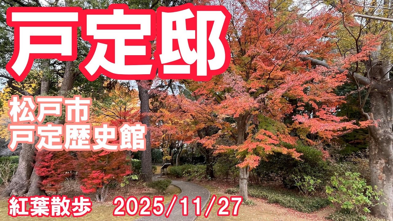 戸定邸(松戸市)　紅葉散歩を楽しめます。　2025/11/27