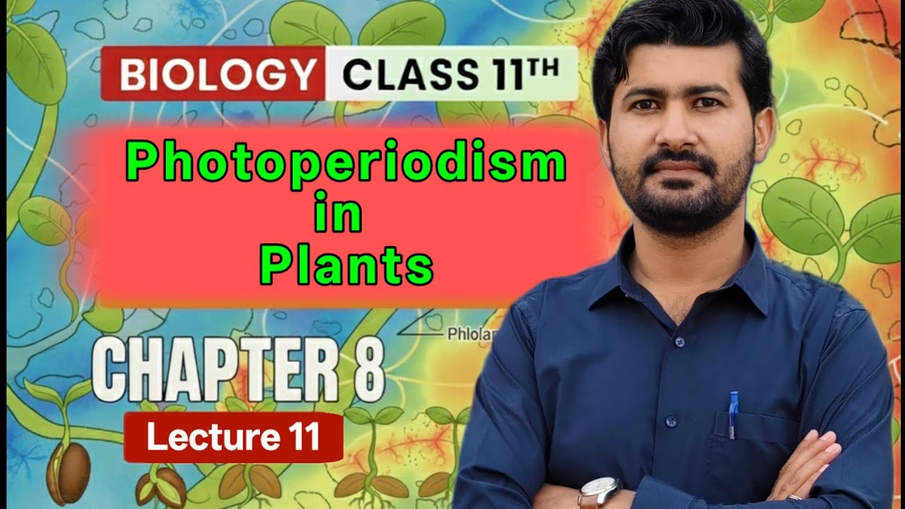 Photoperiodism in Plants | class 11 biology chapter 8 | By irtisam's biology 