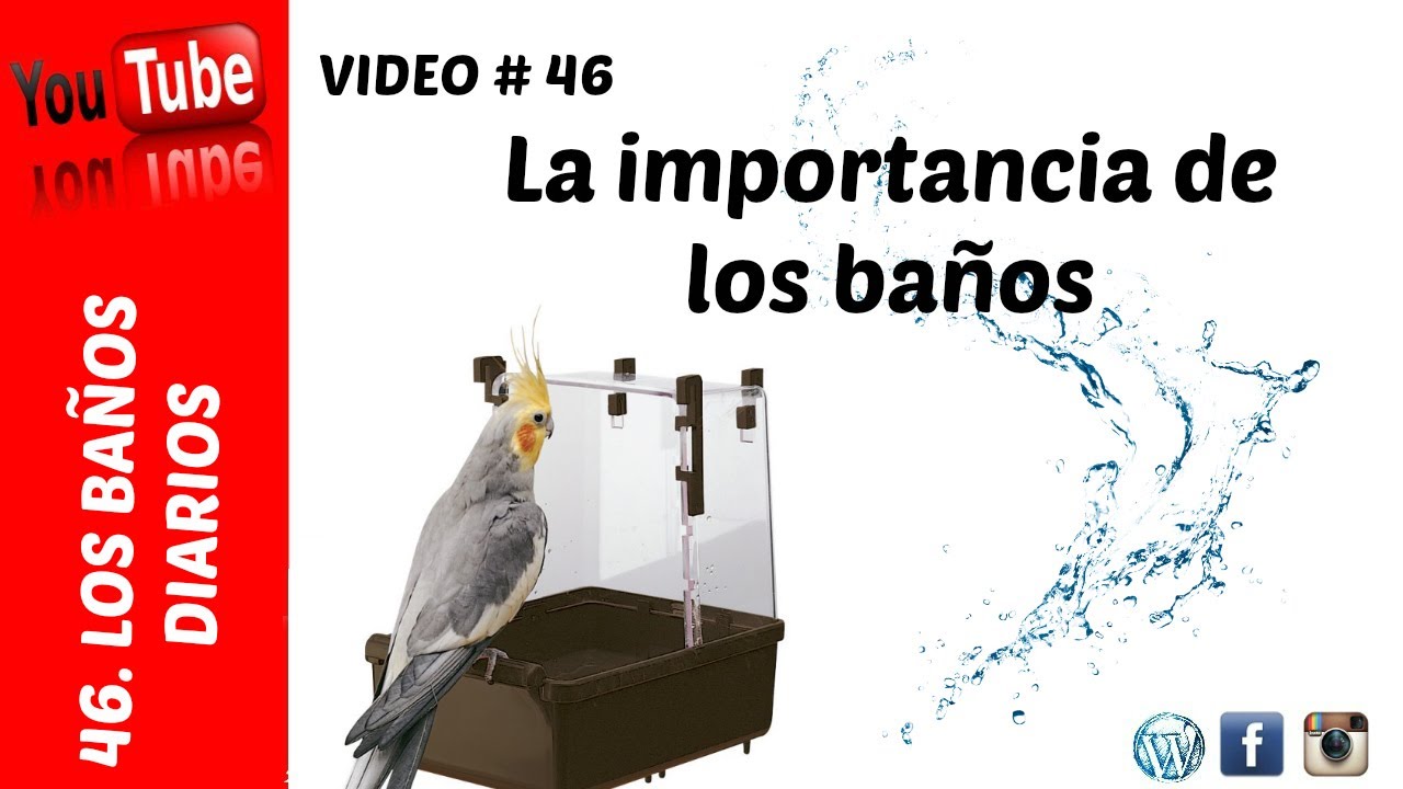 La importancio de los baños en aves