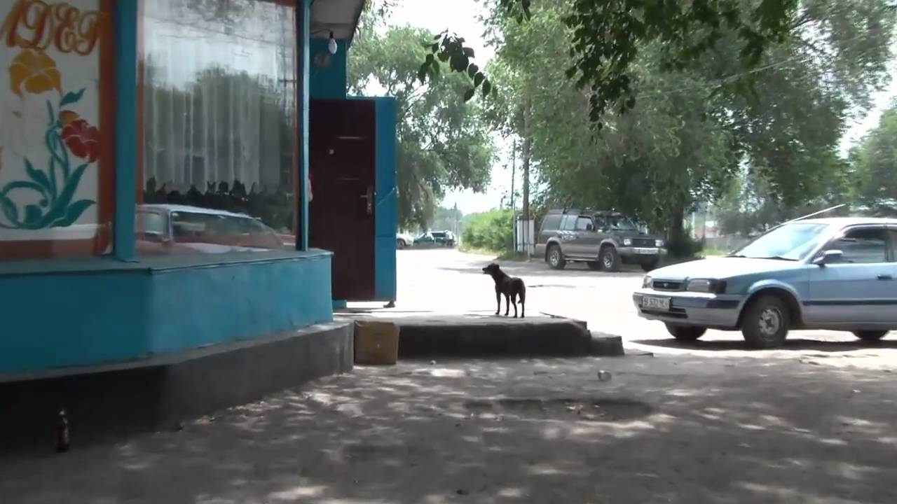 Прогулка по Чемолгану