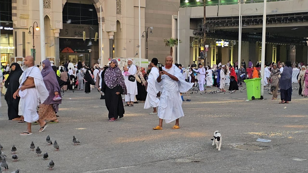 من أجمل فجريات مكة