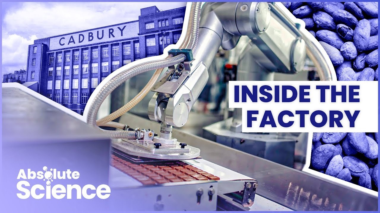 How Is Chocolate Made? The Science Of Chocolate Making | Inside Cadbury | Absolute Science