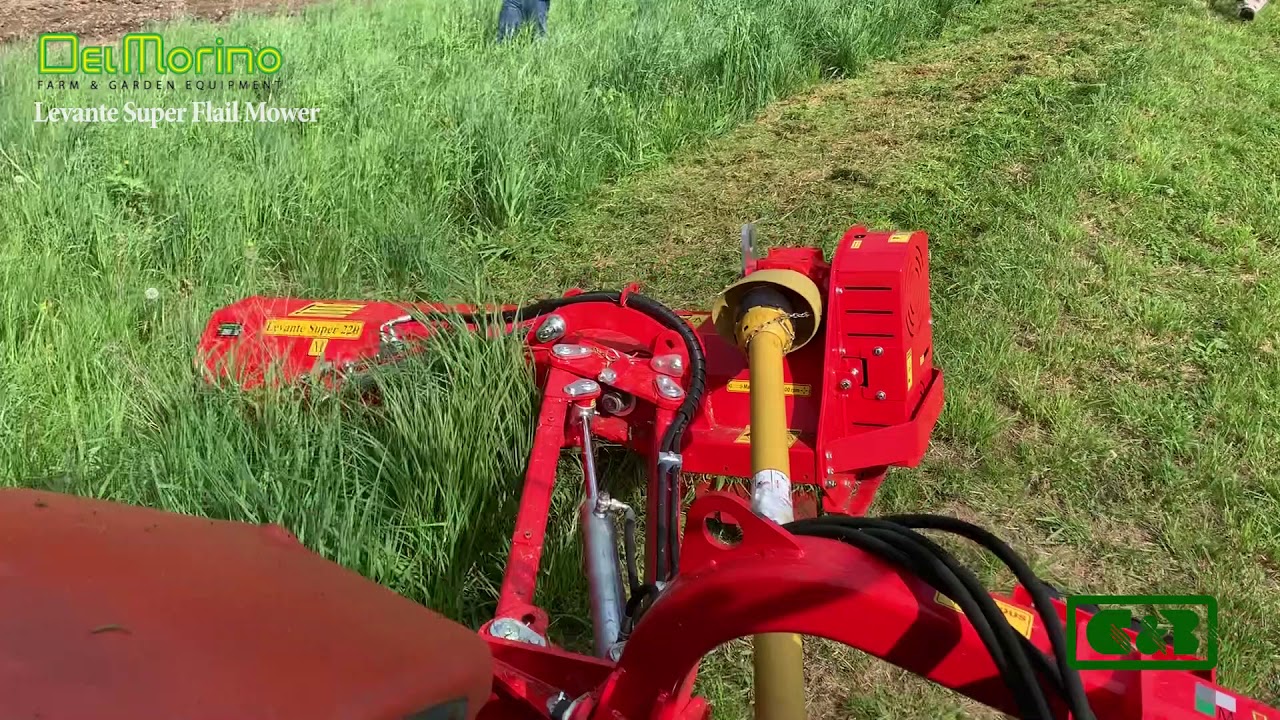 DelMorino Levante Super