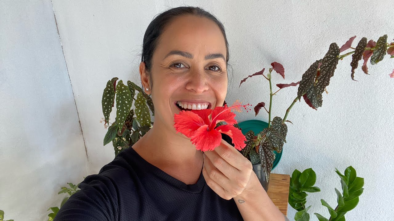 Você conhece as flores comestíveis?! Vida na Roça Ep 11