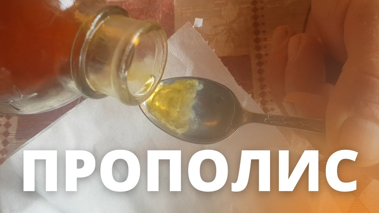 ПРОПОЛИС МОЙ ЛИЧНЫЙ ОПЫТ
