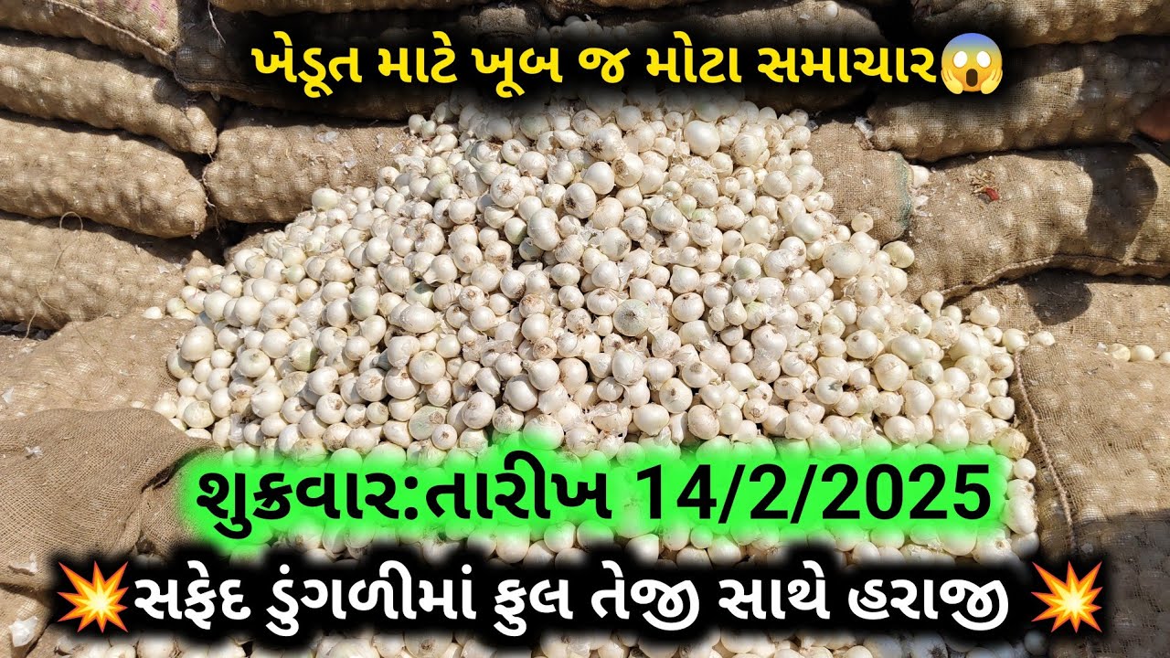 સફેદડુંગળી માં ફૂલ તેજી સાથે હરાજી💥Mahuva Market Yard Bazar Bhav | શુક્રવાર તારીખ 14/2/25 #onion