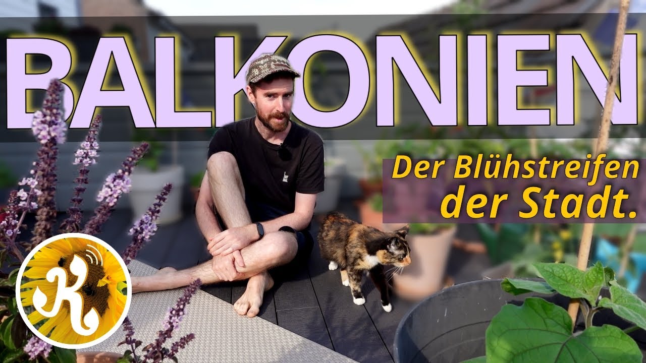 Gärtnern auf dem BALKON🪴 - Oasen der BIODIVERSITÄT!