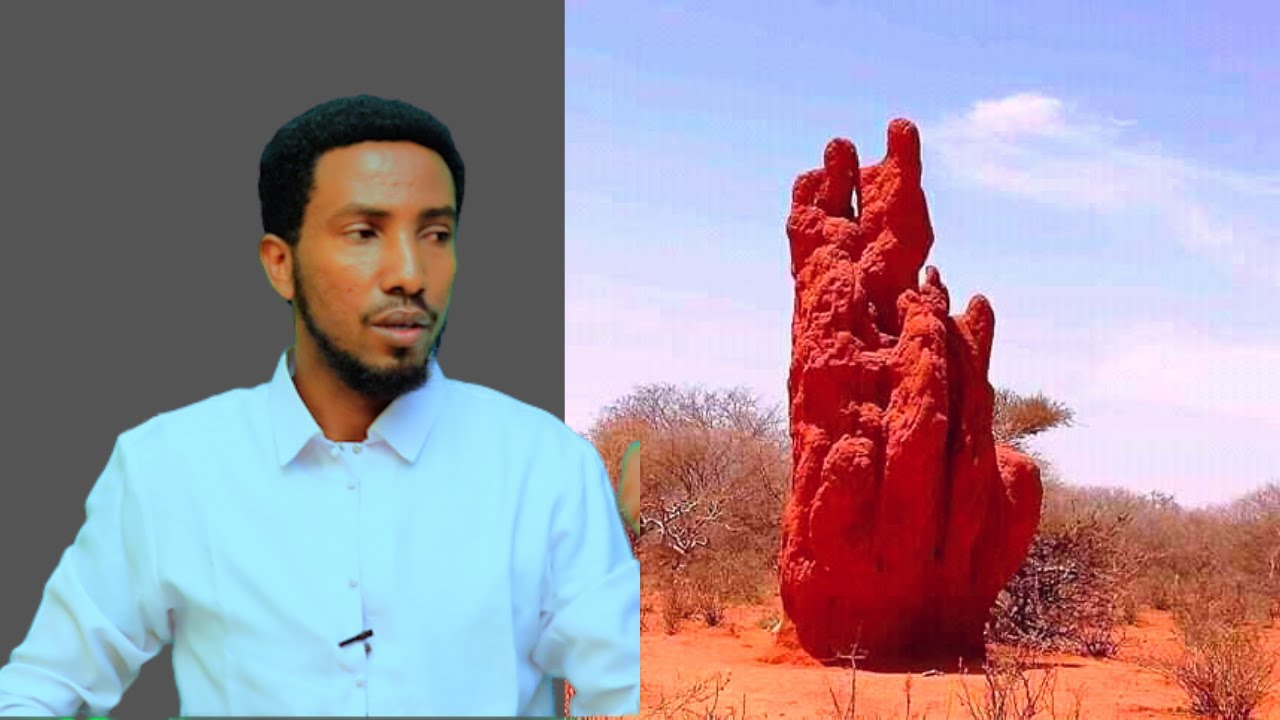 Aboorka 3 Arrimood kagadayo  ! Cajiib Halkan kadaawo