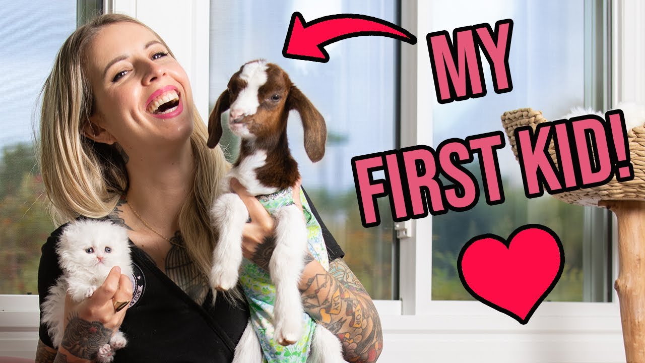 I'm a Baby Goat Mom! (5 Things to Know About Caring for Them!)