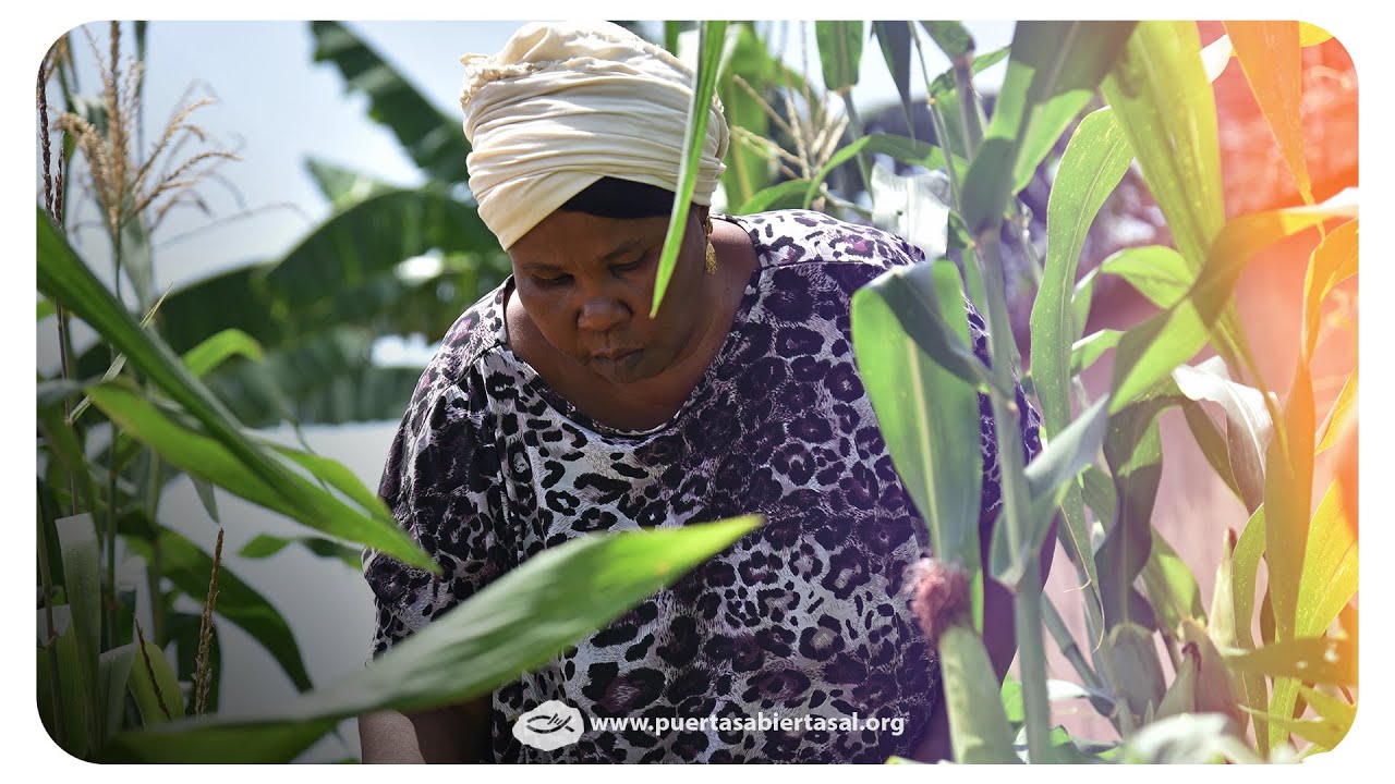 Nigeria | Conoce la fe de Amina y su Familia que sobreviven a un brutal ataque del Boko Haram