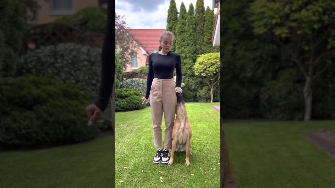 Aufbau Grundstellung ￼Hund