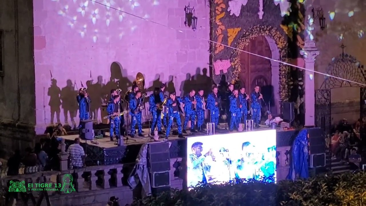 Banda la patrona de jalostotitlan jalisco 🐅