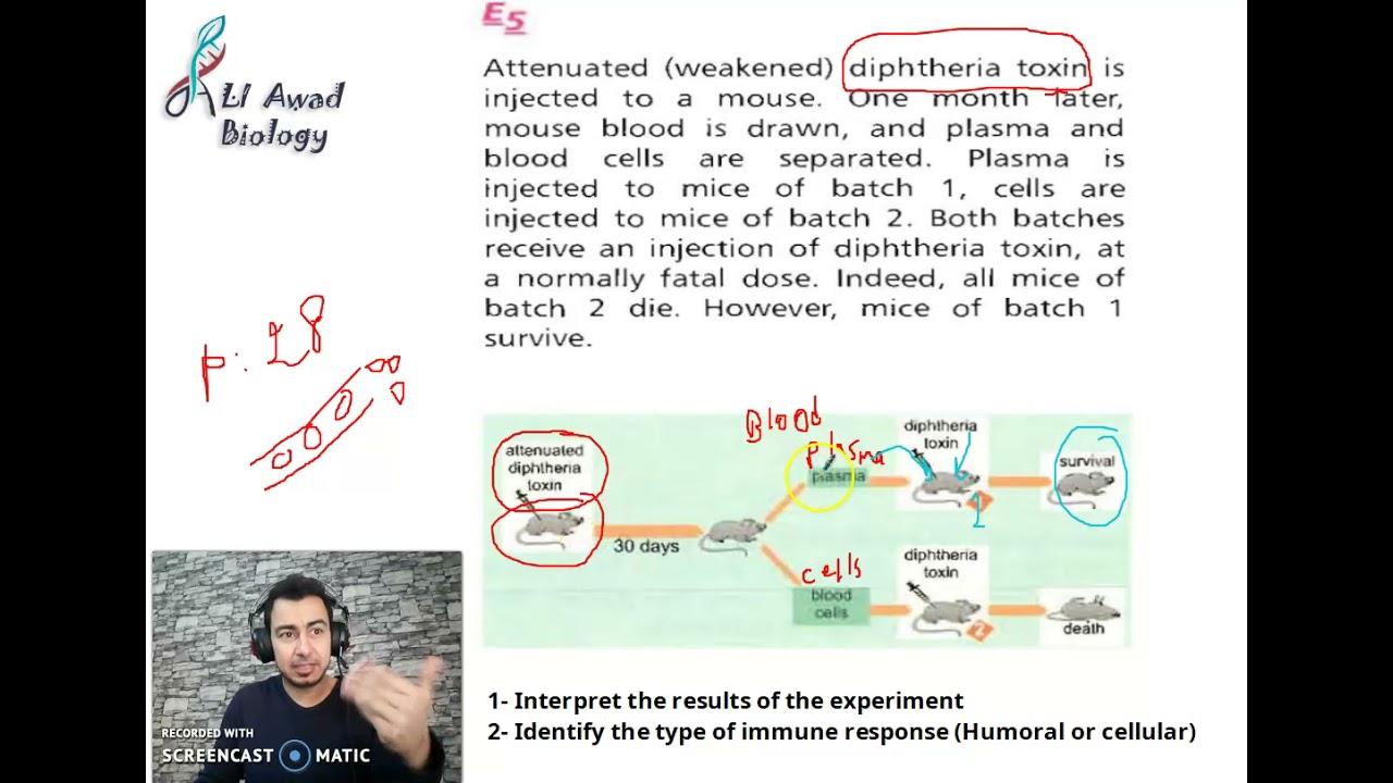Solving Ex 5 on the book immune response in a mouse #Grade_8