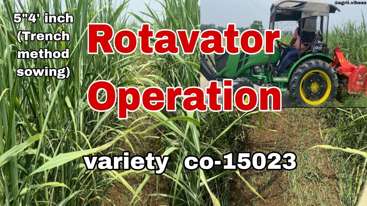 Rotavator operation in Co-15023  #trenchmethod #5