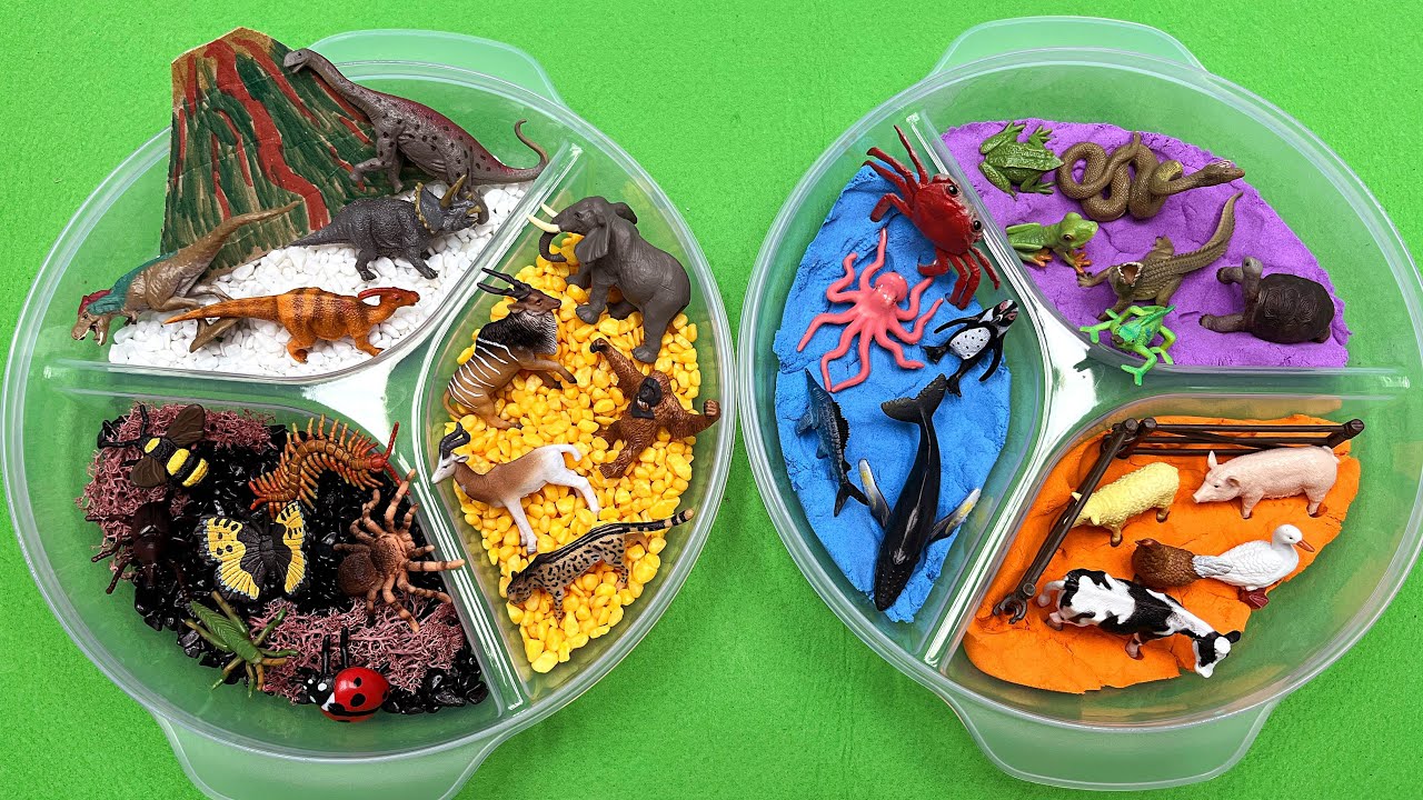 6 Color Diorama With Animals - Safari Animals, Insects, sea Animals, Dinosaurs